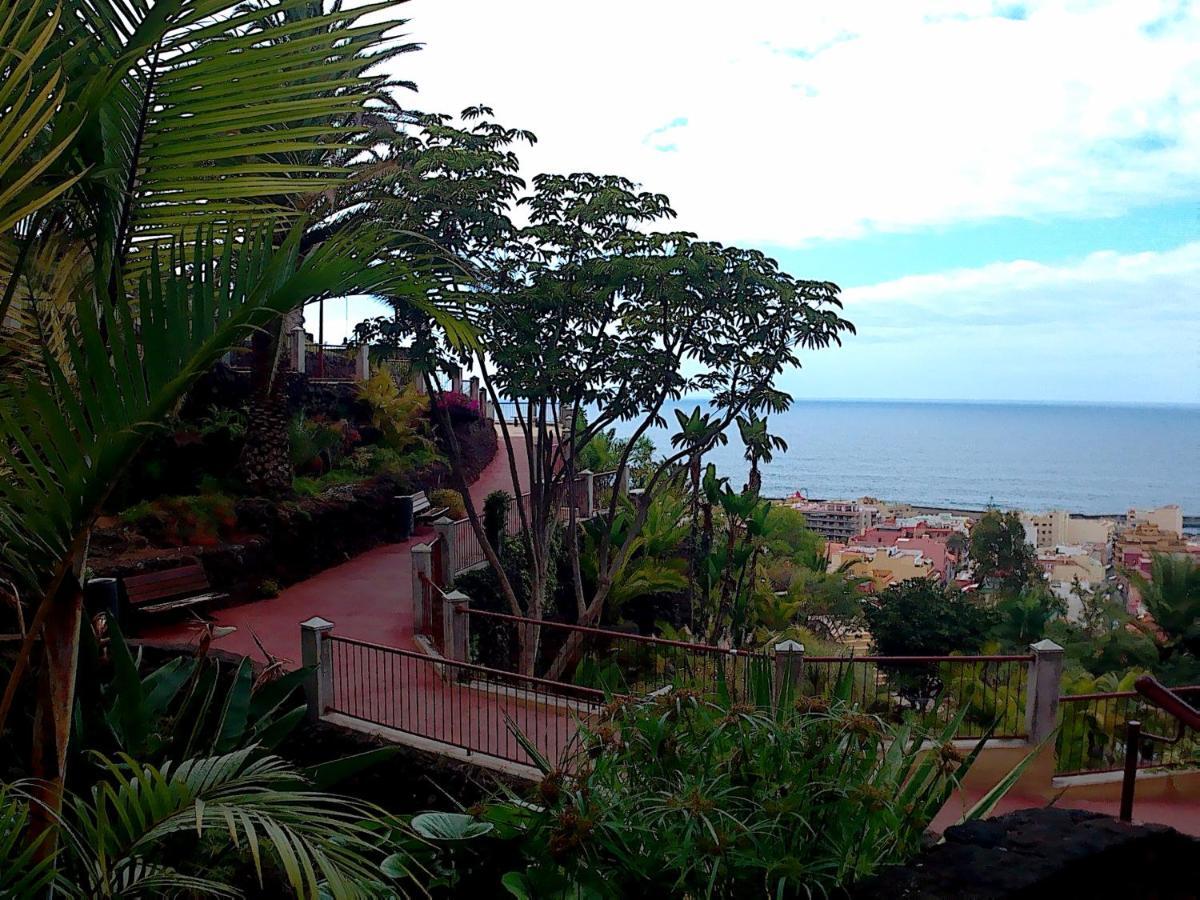 Appartement Estudio Brillante, Confortable Y Agradable Puerto de la Cruz (Tenerife)